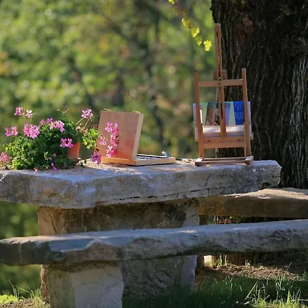 Maccaroni Comfortable Paz