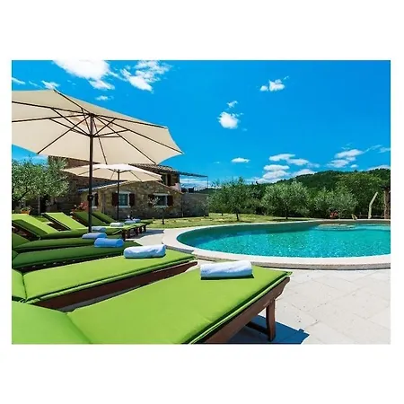 Maccaroni Comfortable Willa