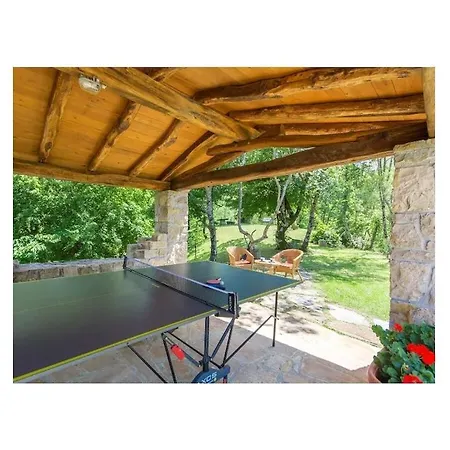 Maccaroni Comfortable *