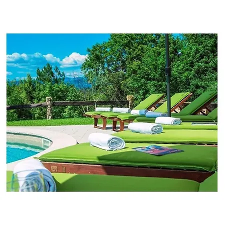 Maccaroni Comfortable Willa *