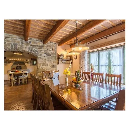 Maccaroni Comfortable Willa